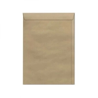 Envelope Skn134 Saco Ofcio 240x340 80g Emb. C/ 10 Envelopes